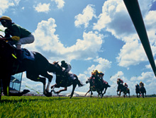 The Curragh, inside rail