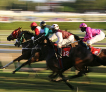 The Curragh, last furlong