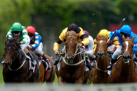 The Curragh, racing 04