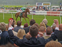 The Curragh, winner